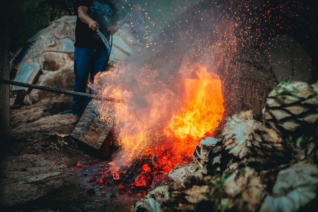 mary-west-mdKKM6zMhqc-unsplash